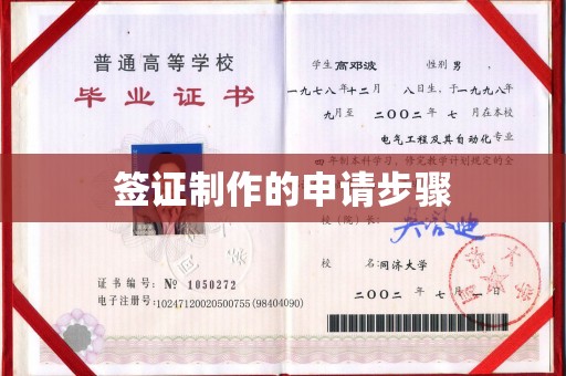 高埗签证制作的申请步骤