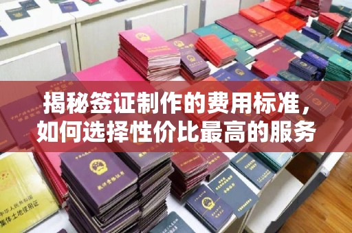 高埗揭秘签证制作的费用标准，如何选择性价比最高的服务？
