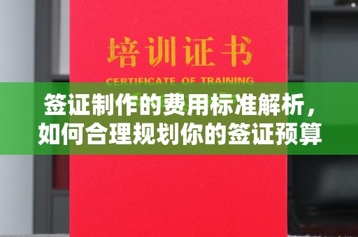 高埗签证制作的费用标准解析，如何合理规划你的签证预算